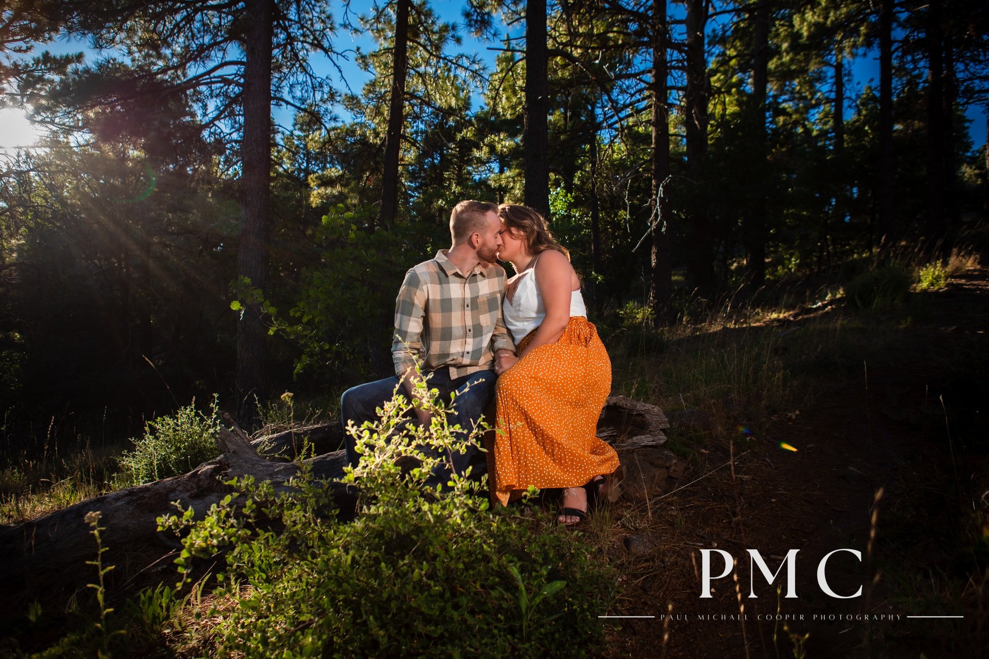 Mount Laguna Nature Engagement Session - Best San Diego Wedding Photographer-38.jpg