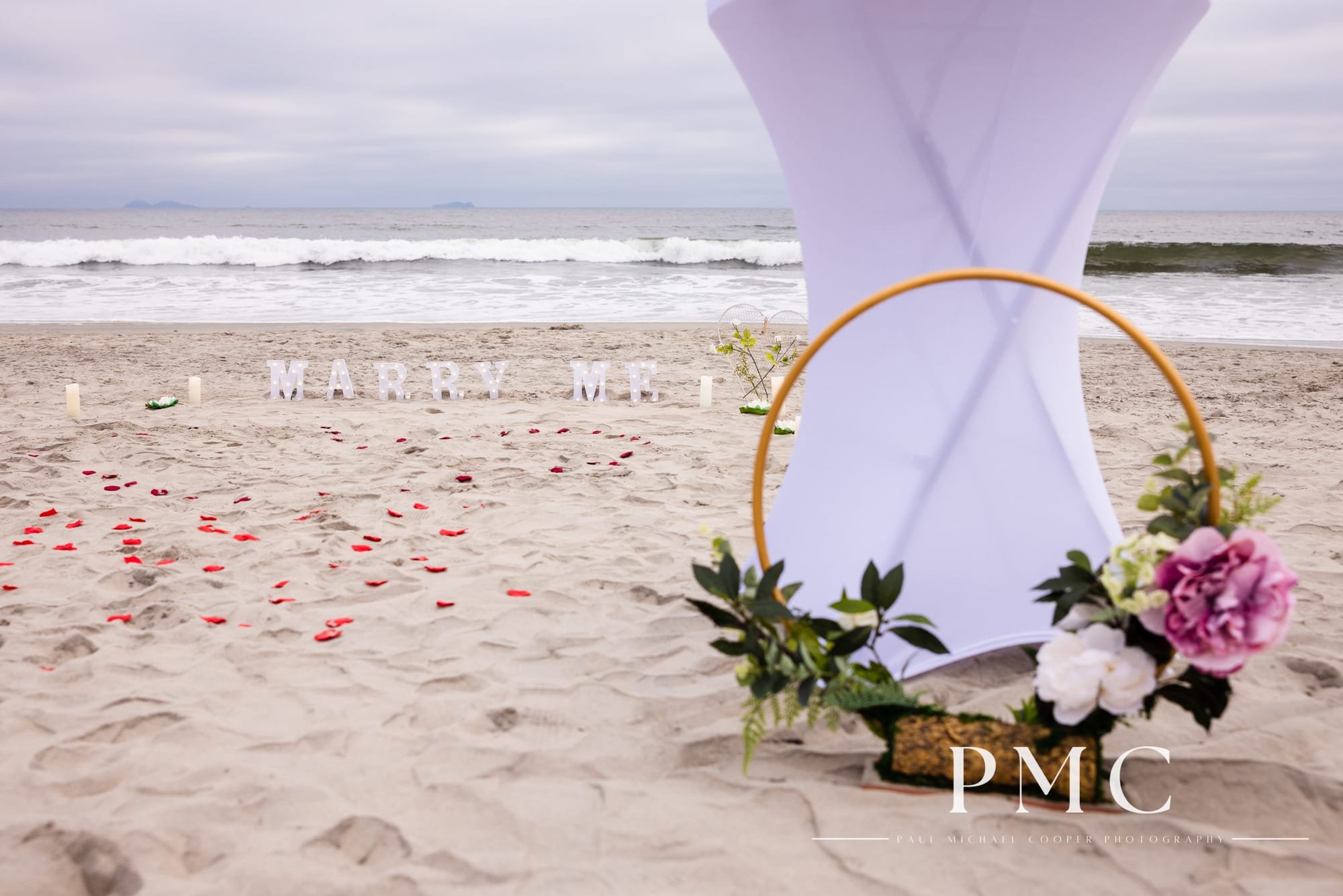 Coronado Beach Proposal - Best San Diego Wedding Photographer-4.jpg