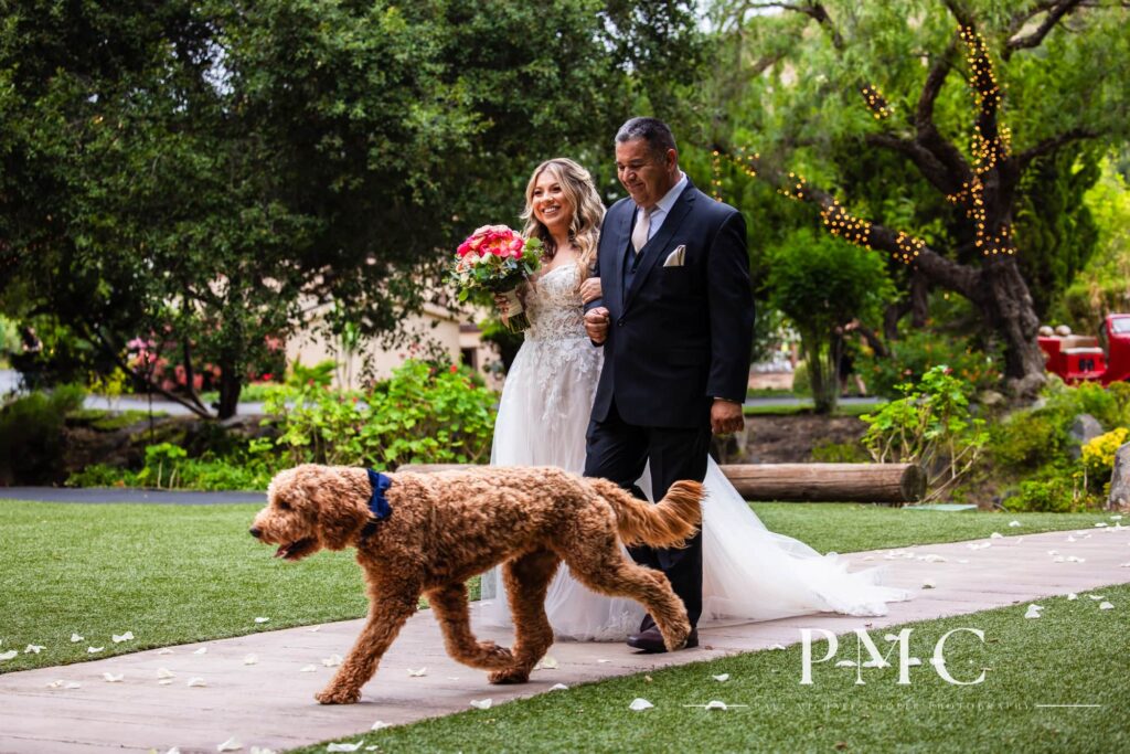 A bride is accompanied down the aisle at her summer wedding ceremony by her father and her dog.